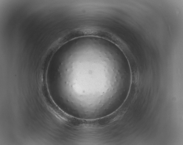 X0000083020733200702091316