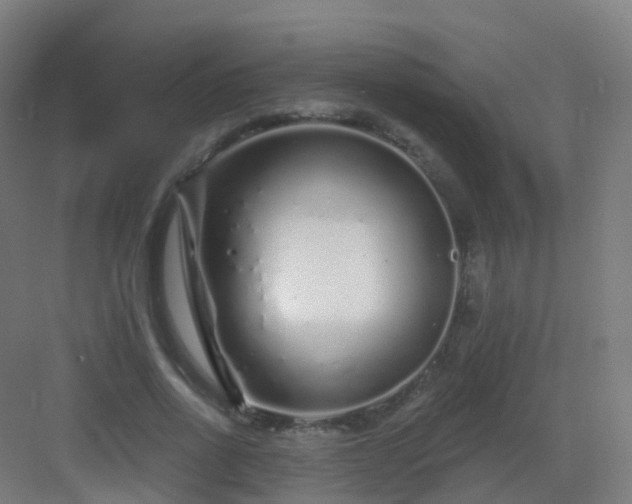 X0000083020734200702091316