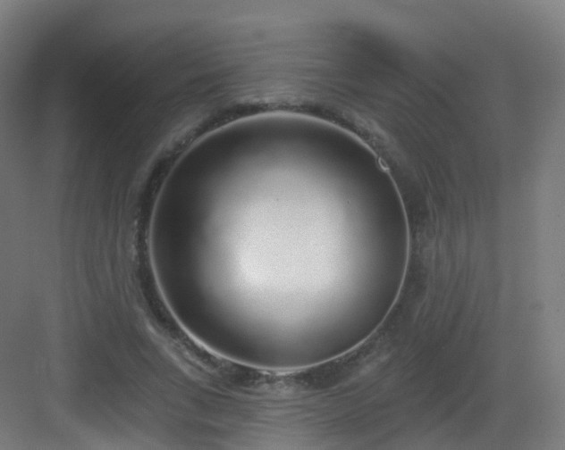 X0000083020735200702091316