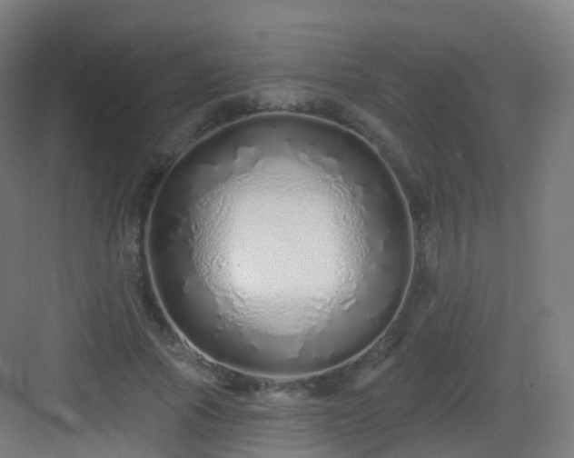 X0000083020737200702091316