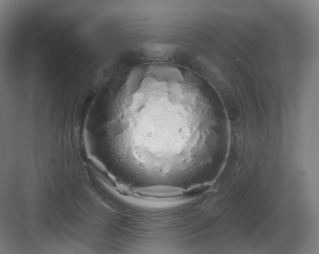X0000083020745200702091316