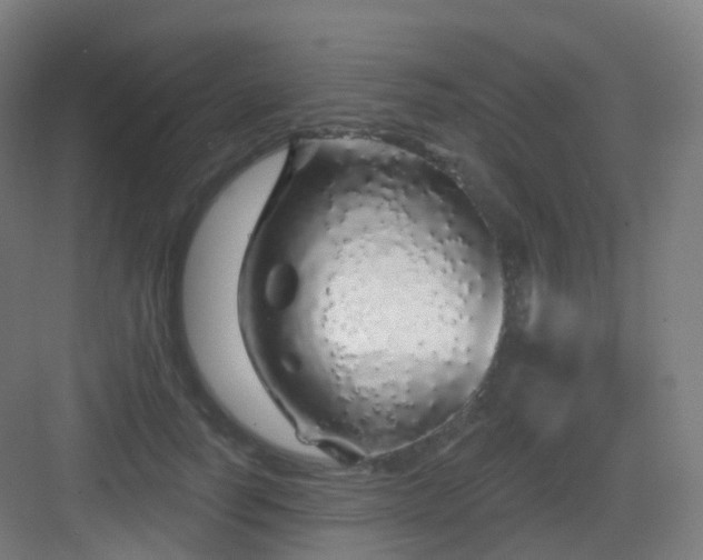 X0000083020746200702091316
