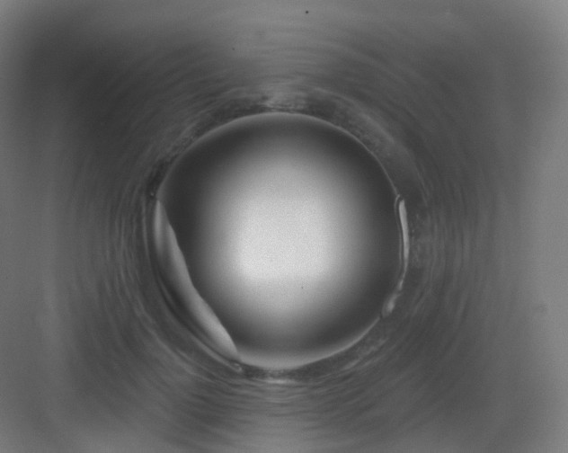 X0000083020748200702091316