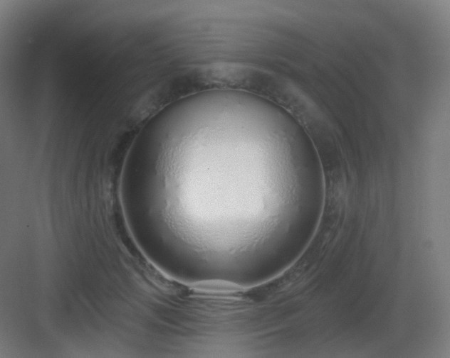 X0000083020749200702091316