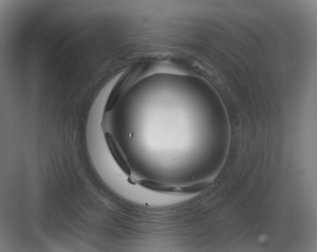 X0000083020750200702091316