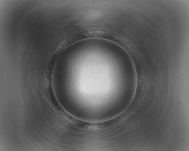 X0000083020751200702091317