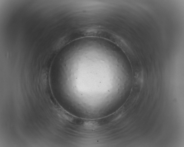 X0000083020753200702091317