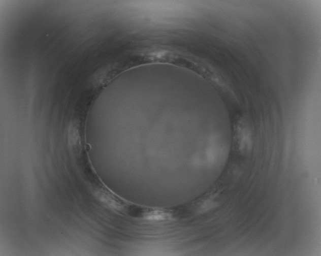 X0000083020754200702091317