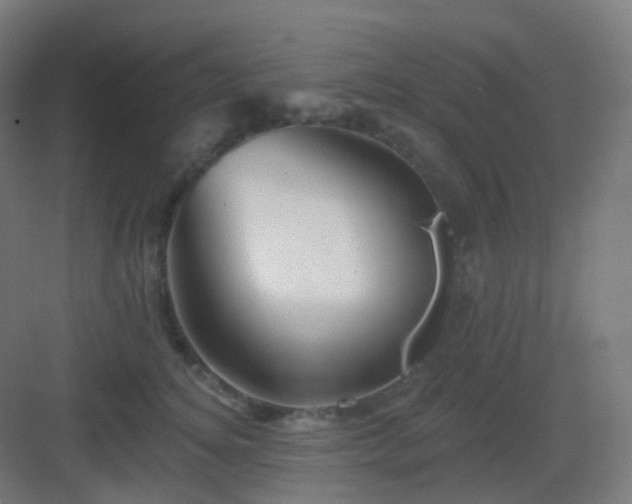 X0000083020756200702091317