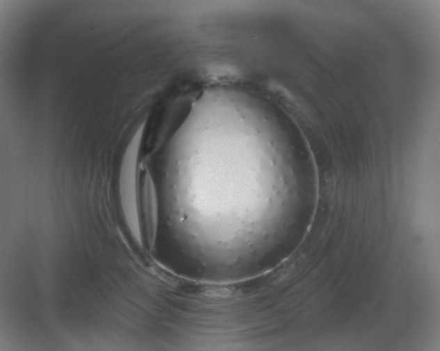 X0000083020757200702091317