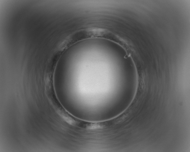 X0000083020759200702091317
