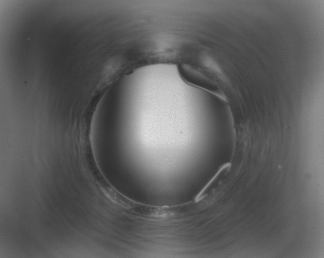 X0000083020760200702091317