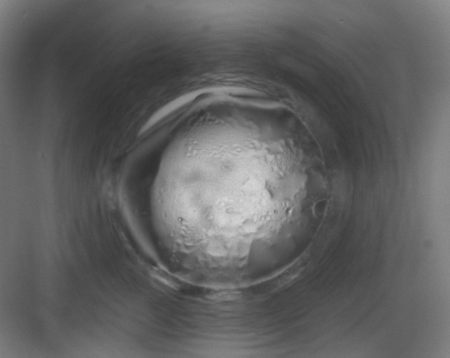 X0000083020761200702091317