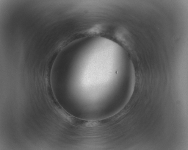 X0000083020762200702091317