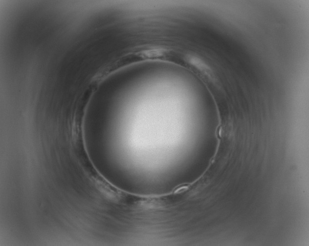 X0000083020763200702091317
