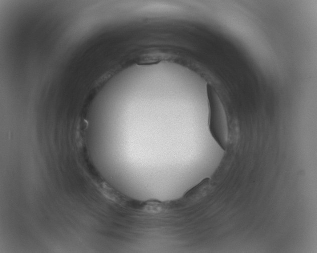 X0000083020764200702091317
