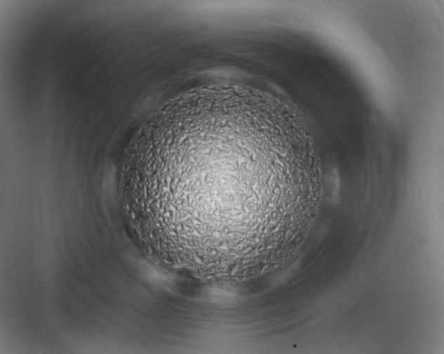 X0000083020765200702091317