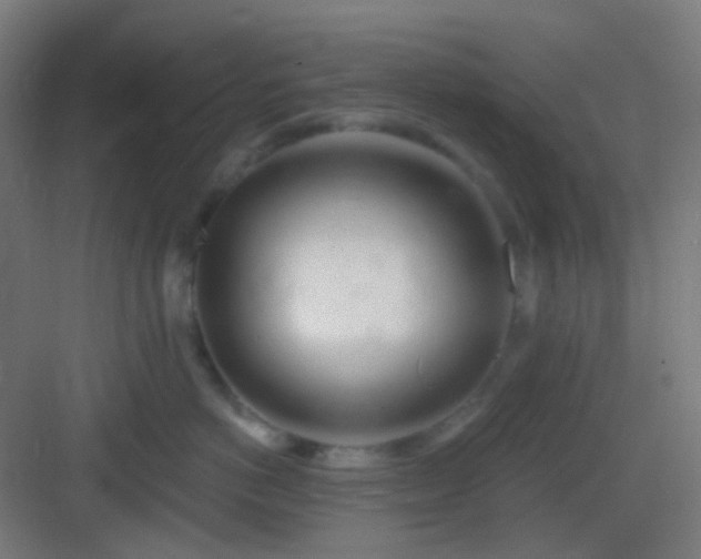 X0000083020766200702091317