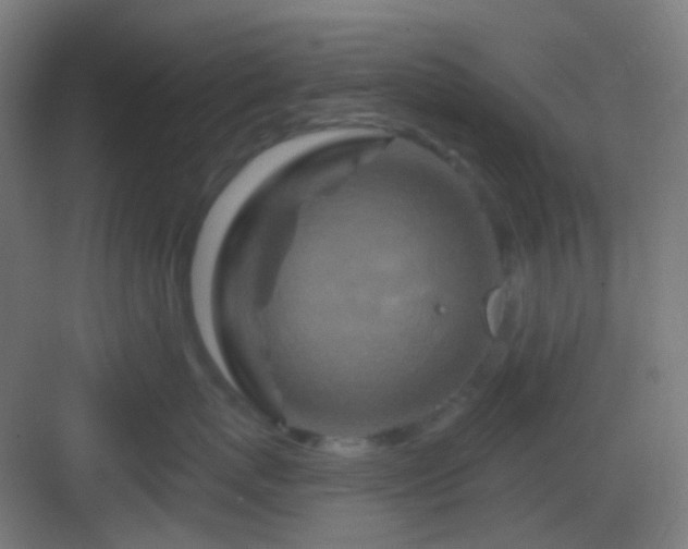 X0000083020767200702091317