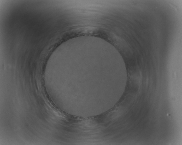 X0000083020769200702091316
