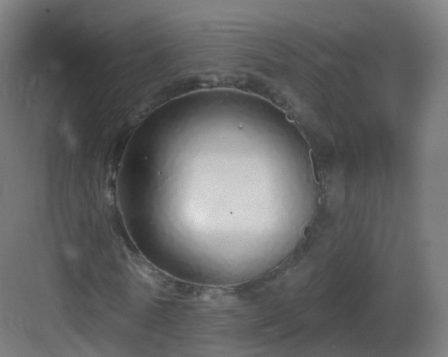 X0000083020770200702091316