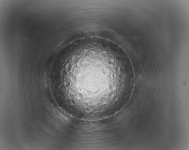 X0000083020772200702091316