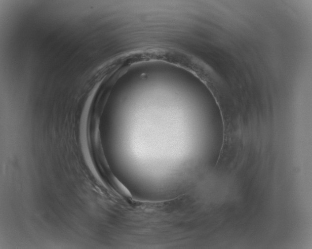 X0000083020773200702091316