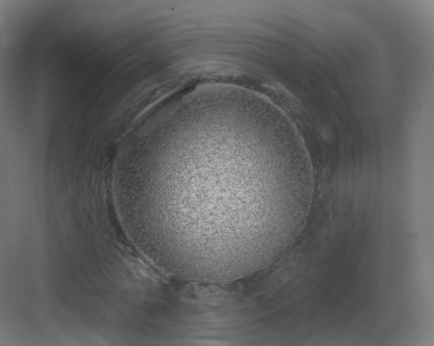X0000083020774200702091316
