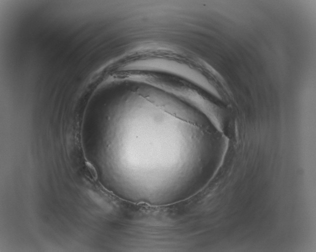 X0000083020775200702091316