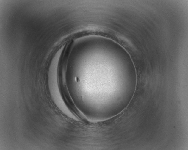 X0000083020776200702091316