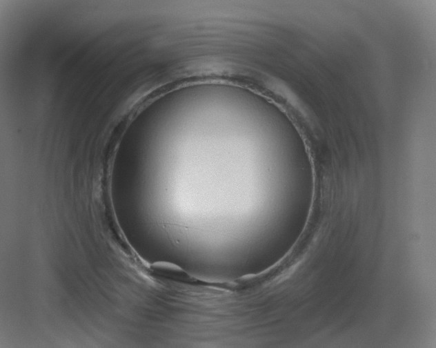 X0000083020778200702091316
