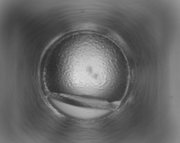 X0000083020780200702091316