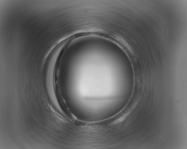 X0000083020781200702091316