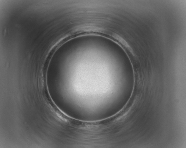 X0000083020782200702091316