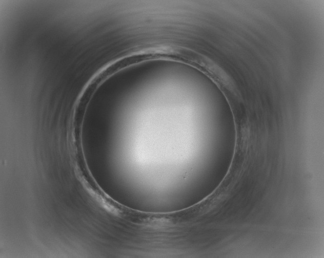 X0000083020784200702091316