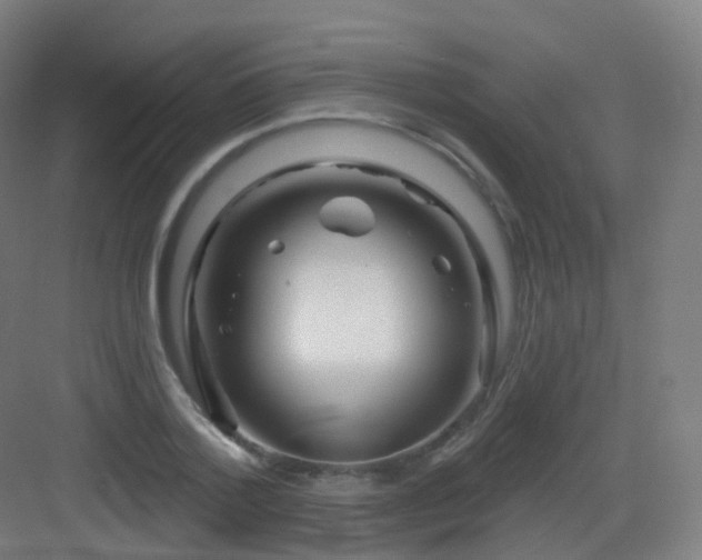 X0000083020788200702091316
