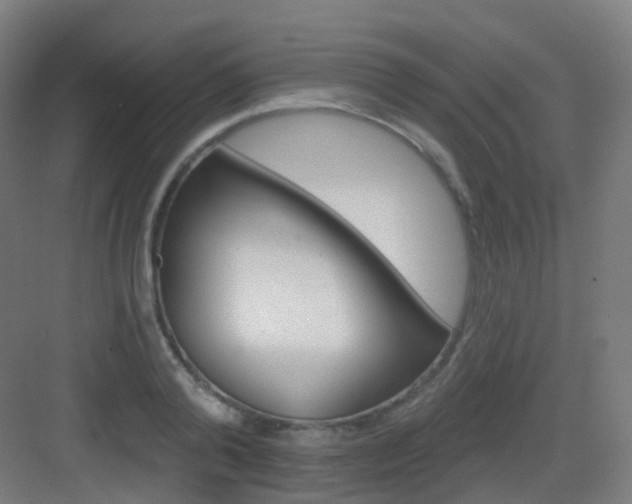 X0000083020792200702091316