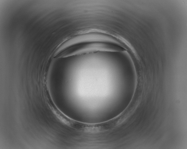 X0000083020793200702091316