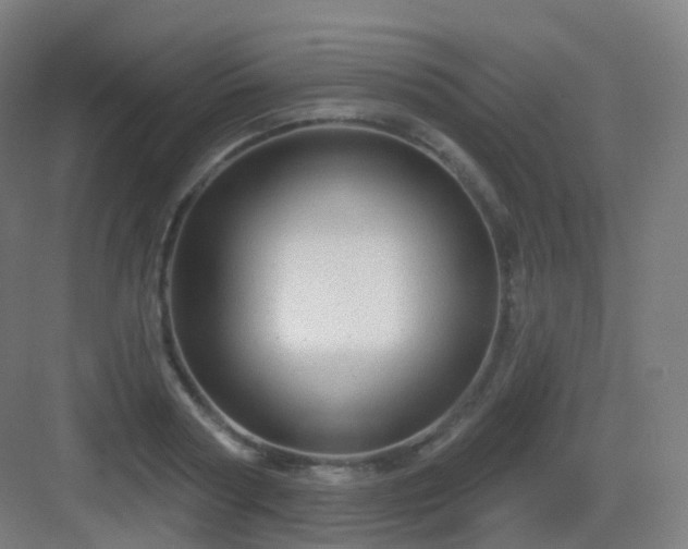 X0000083020794200702091316