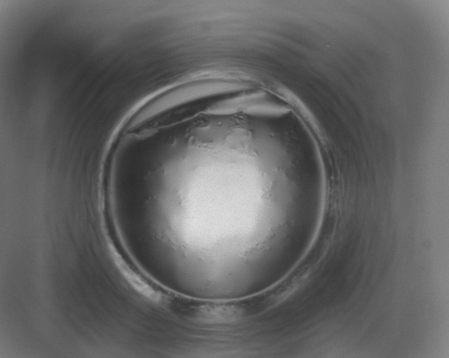 X0000083020795200702091316
