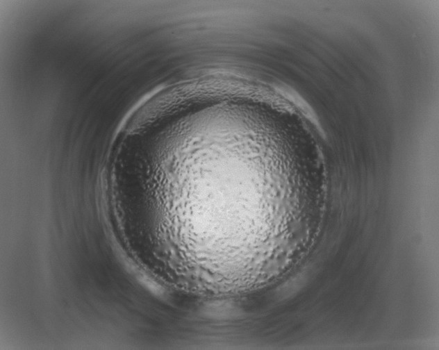 X0000083020798200702091316