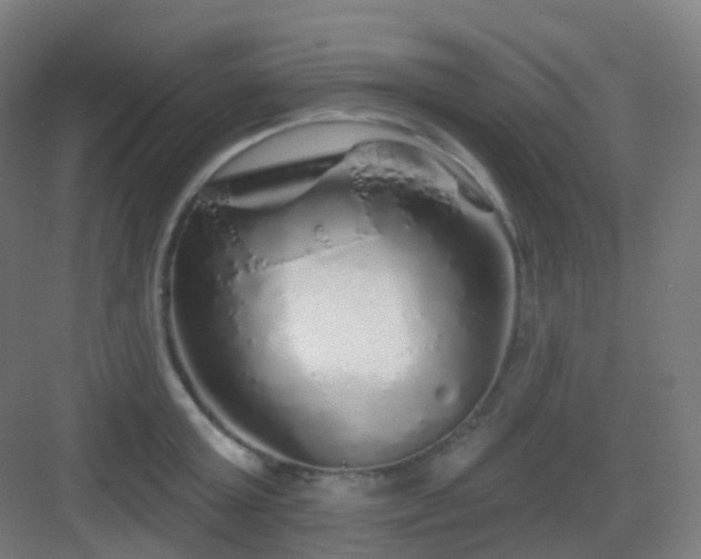 X0000083020803200702091315