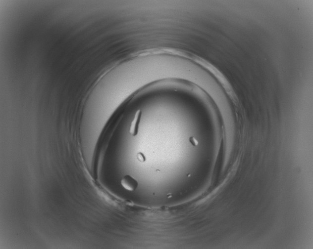 X0000083020809200702091315