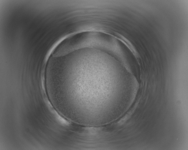 X0000083020812200702091315