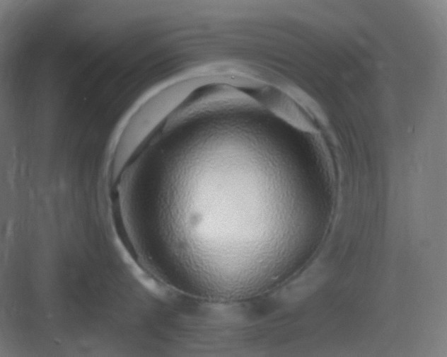 X0000083020816200702091315