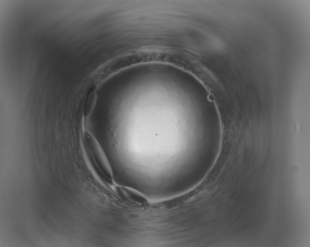 X0000083020821200702091314