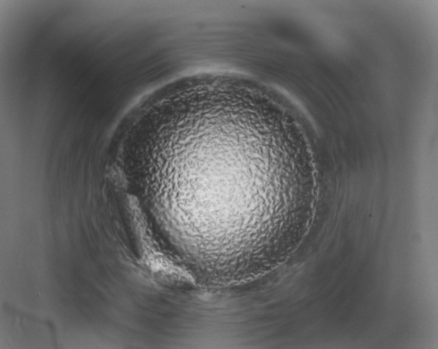 X0000083020823200702091314