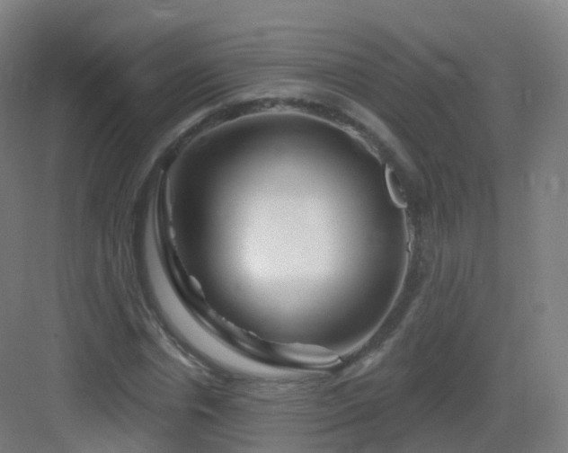 X0000083020826200702091315