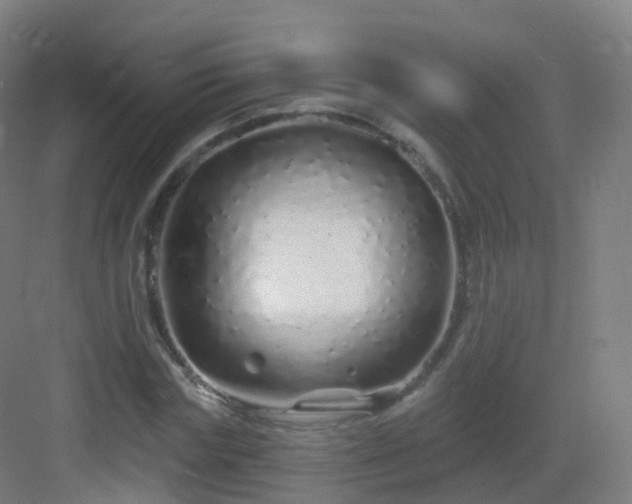 X0000083020827200702091315