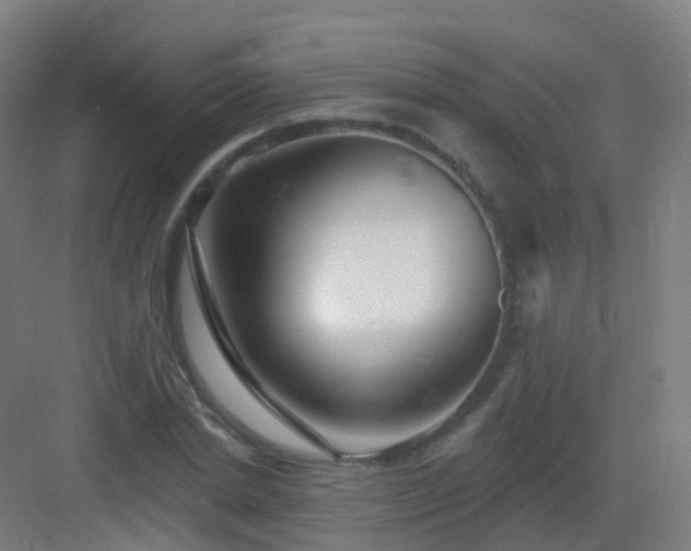 X0000083020830200702091315